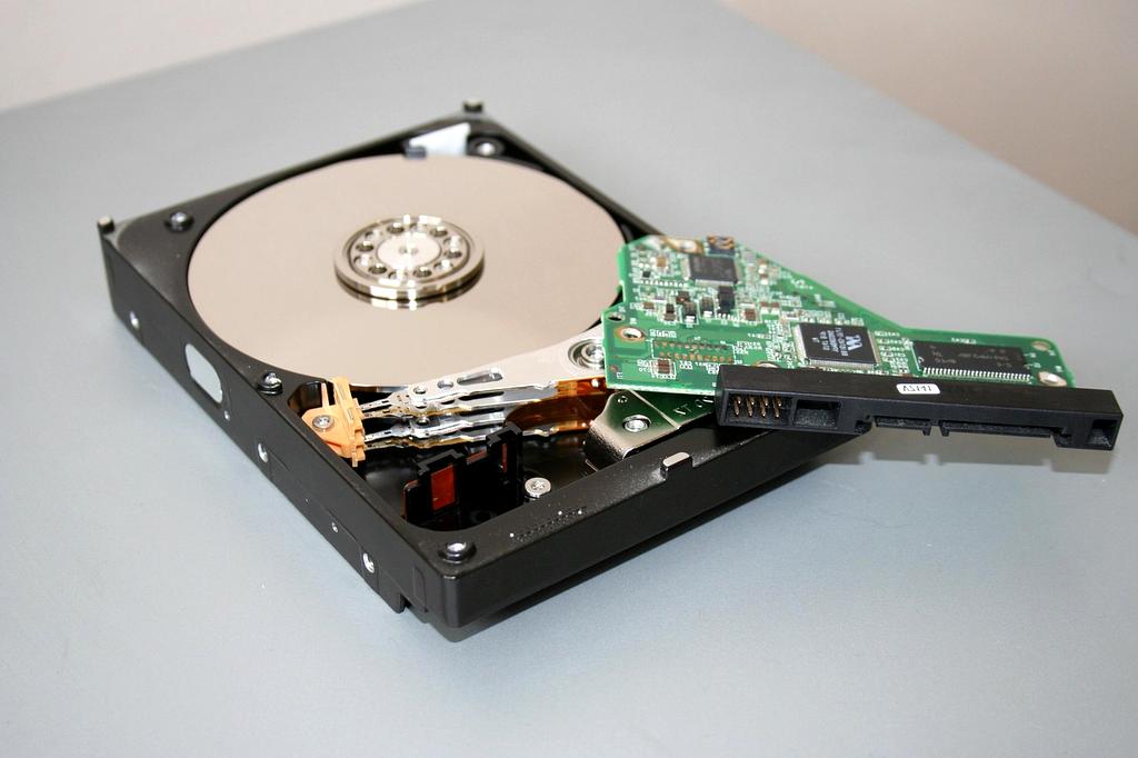 User configuring backup software on computer